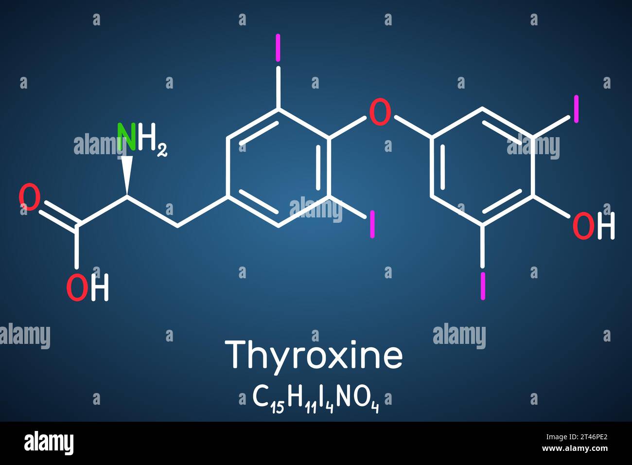 Tiroxina, T4, molecola di levotiroxina. È l'ormone tiroideo, il proormone della tironina T3. Formula strutturale su sfondo blu scuro. Illustrazione Vettoriale