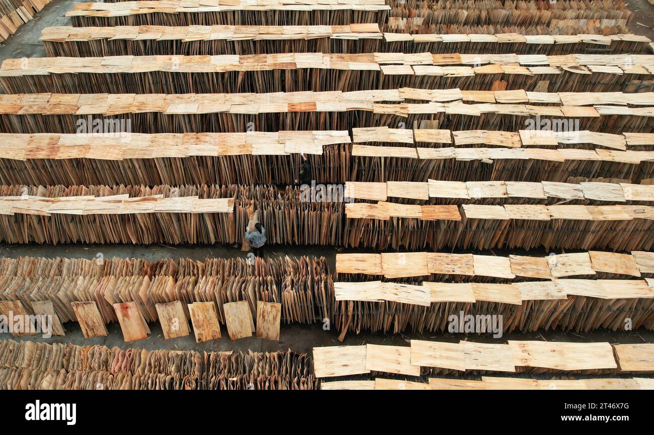 NEIJIANG, CINA - 28 OTTOBRE 2023 - una foto aerea mostra un operaio che asciuga sottili trucioli di legno in un impianto di lavorazione del legno nella città di Neijiang, Sichuan Provin Foto Stock