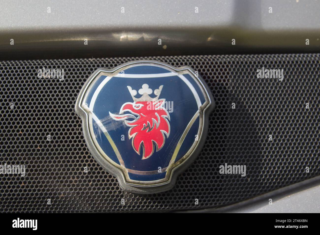Logo Scania sul cofano. Foto Stock