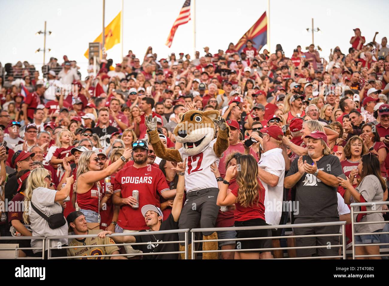 La mascotte dei Washington State Cougars festeggia con i tifosi un touchdown nel primo quarto di una partita di football NCAA contro gli Arizona State Sun D. Foto Stock