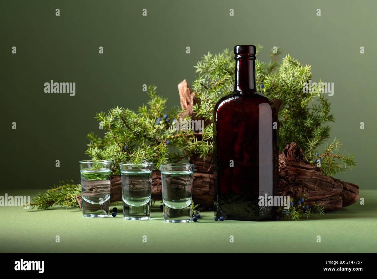 Gin in bottiglia vintage su uno sfondo di vecchi snags e rami di ginepro con frutti di bosco. Sfondo verde con spazio di copia. Foto Stock