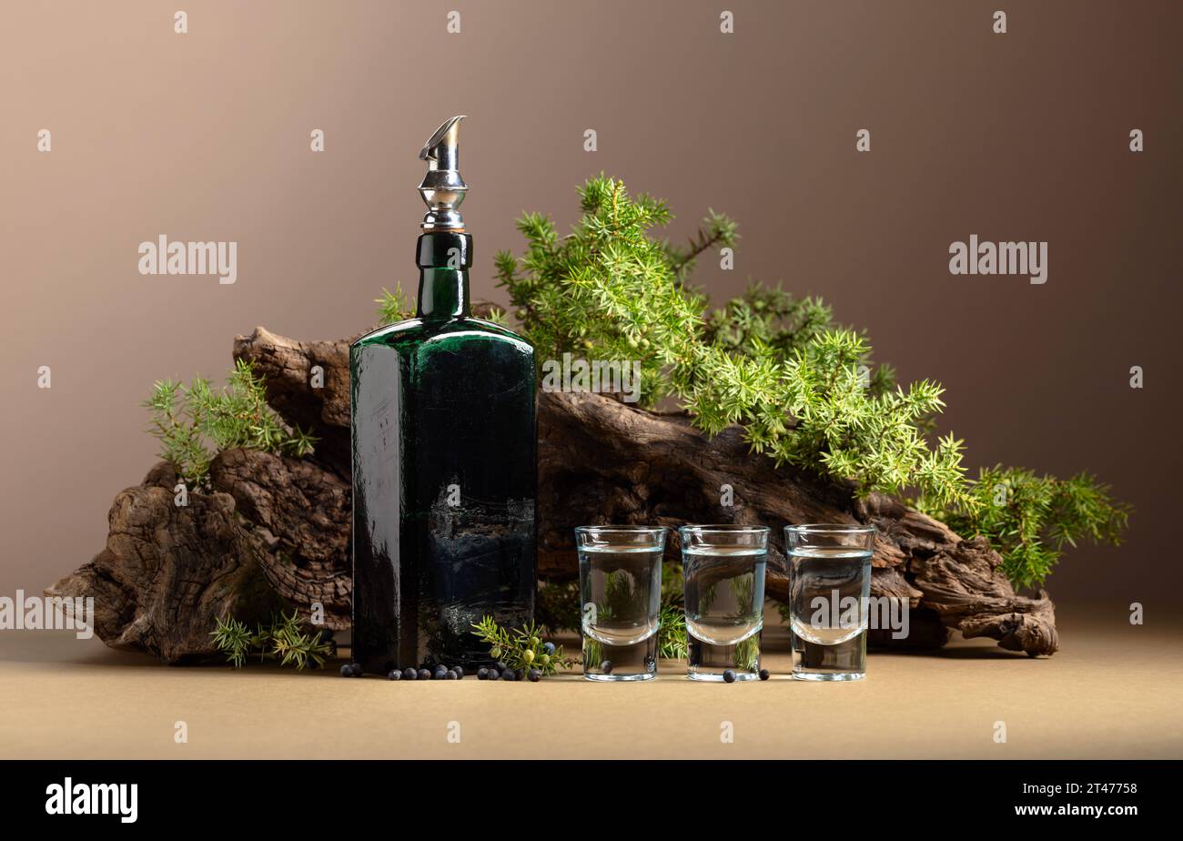 Gin in bottiglia vintage su uno sfondo di vecchi snags e rami di ginepro con frutti di bosco. Sfondo beige con spazio di copia. Foto Stock