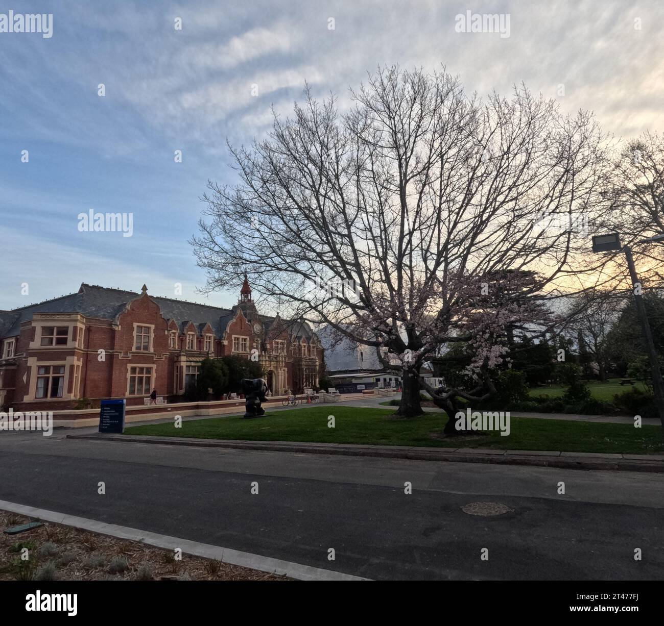 Fiori primaverili all'università di Lincoln, Christchurch, nuova Zelanda Foto Stock