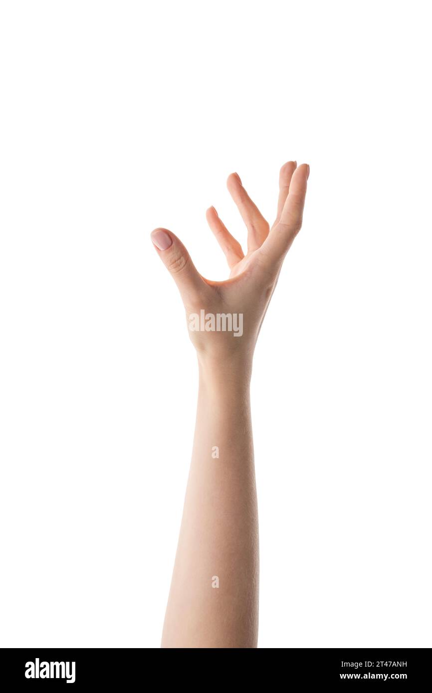 Giovane mano femminile che regge qualcosa di rotondo isolato su sfondo bianco Foto Stock