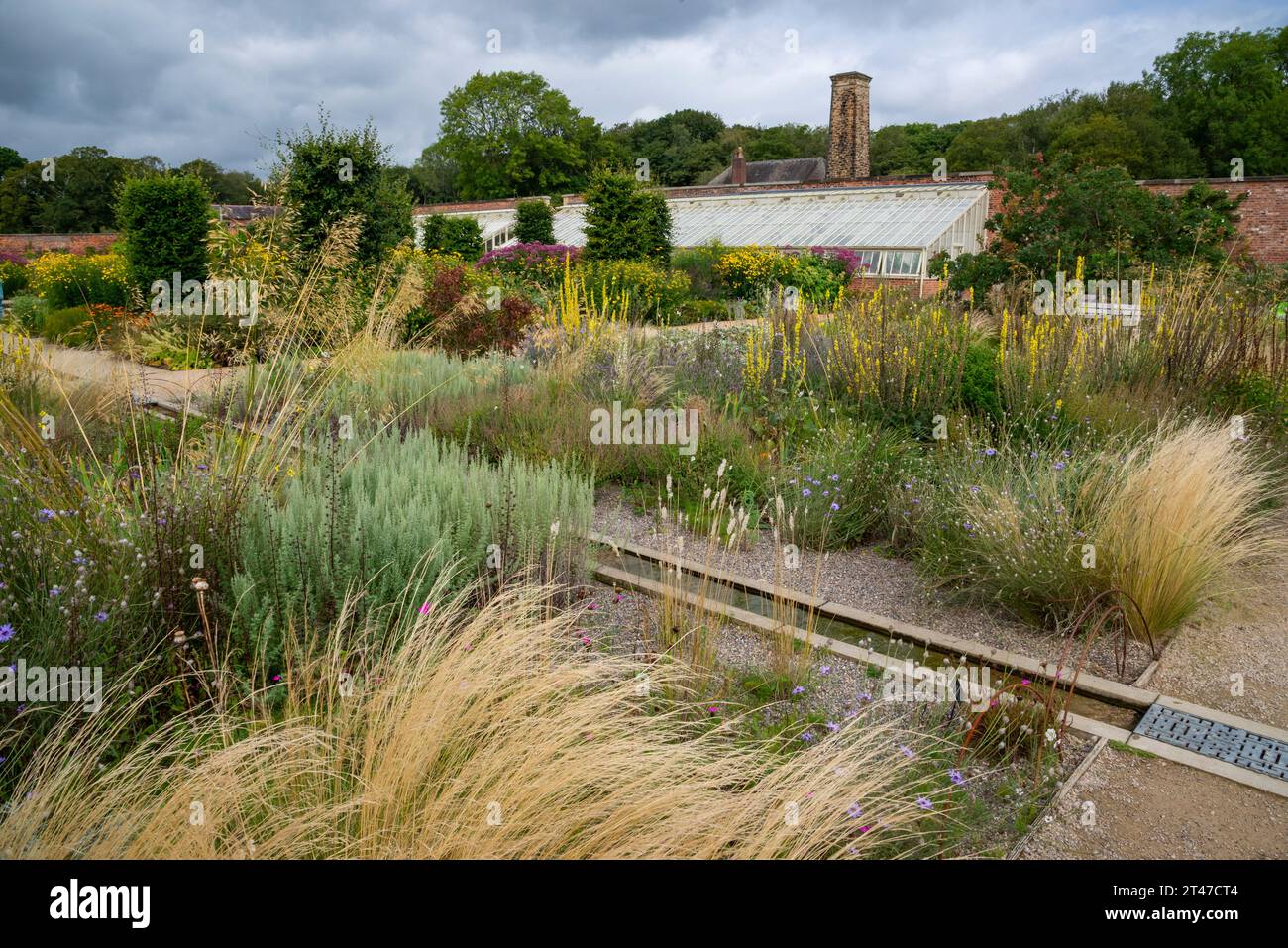 Estate nei giardini di RHS Bridgewater, Worsley, Salford, Inghilterra. Impianto misto nel Paradise Garden. Foto Stock
