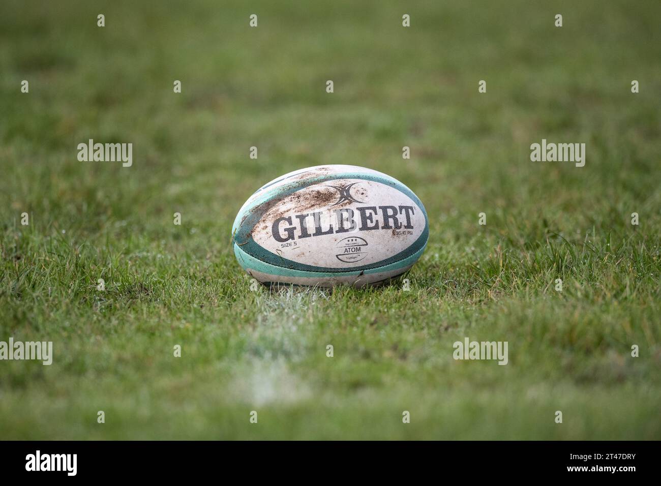 Gilbert rugby union football sul campo di gioco. Foto Stock