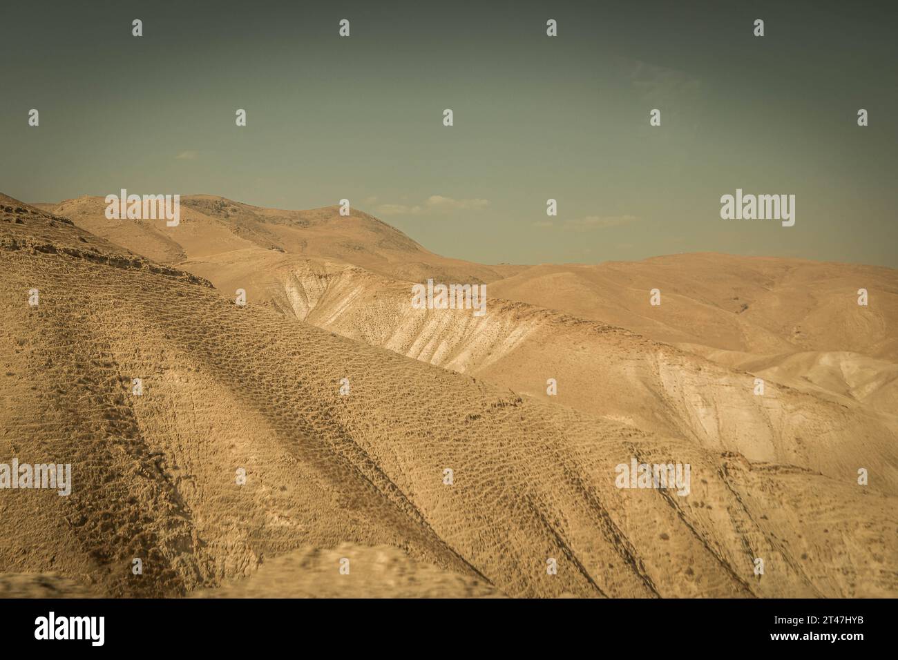 Il deserto arido e sabbioso del Negev nel mezzo della Cisgiordania, l'autonomia palestinese (Palestina) in Cisgiordania. Foto Stock