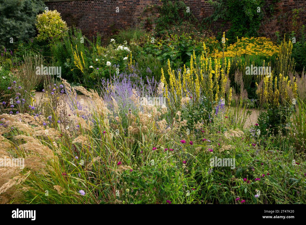 Estate nei giardini all'RHS Bridgewater, Worsley, Salford, Inghilterra. Foto Stock