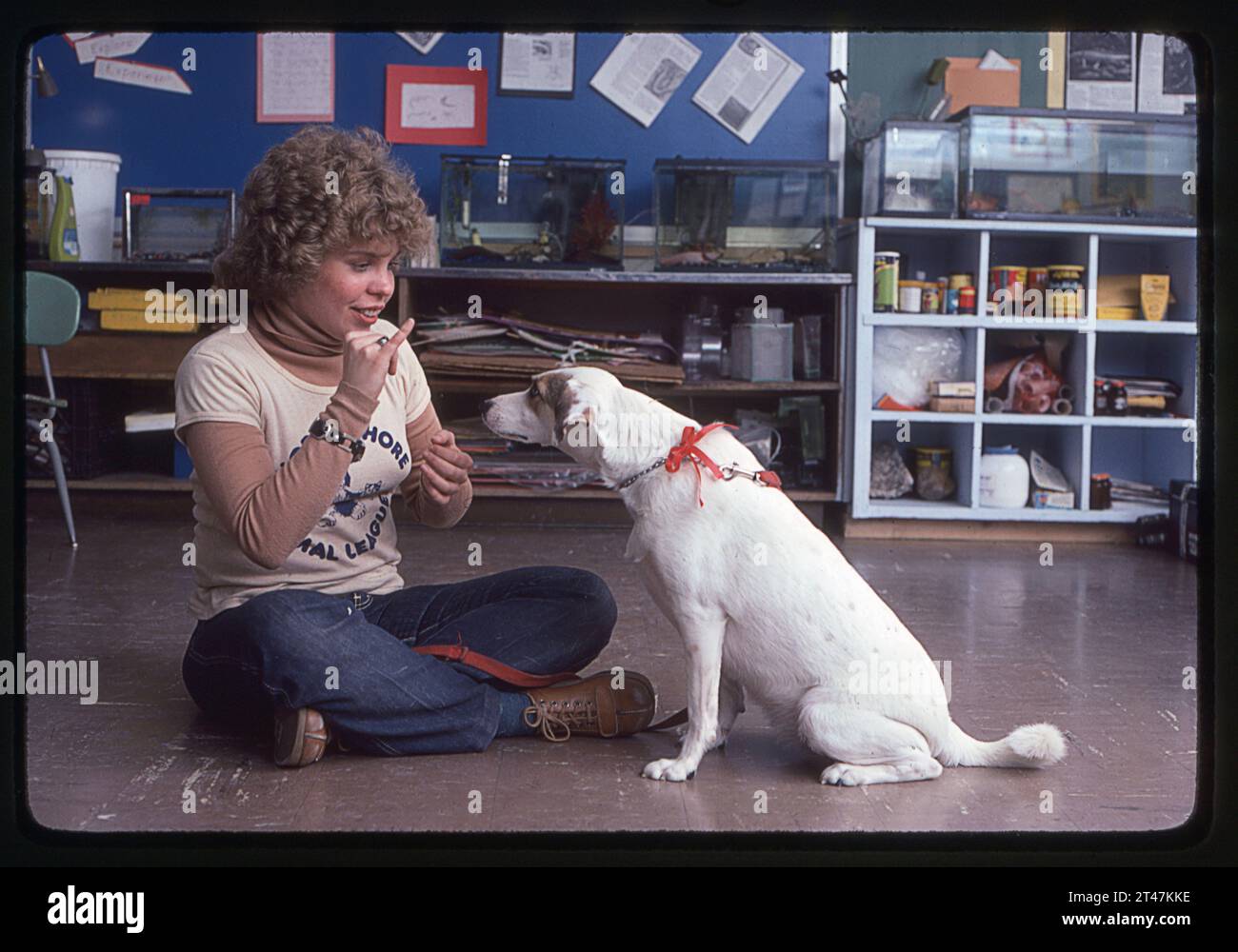 Una ragazza sorda che ha insegnato al suo cane come obbedire ai comandi impartiti nel linguaggio dei segni. Nel 1982, ha dimostrato questo per una classe di Long Island. Foto Stock