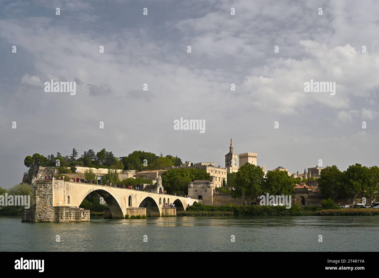 Vista di Avignone con il fiume Rodano, il pont Saint-Benezet e il palais des papes. Avignone, Provenza, Francia Foto Stock