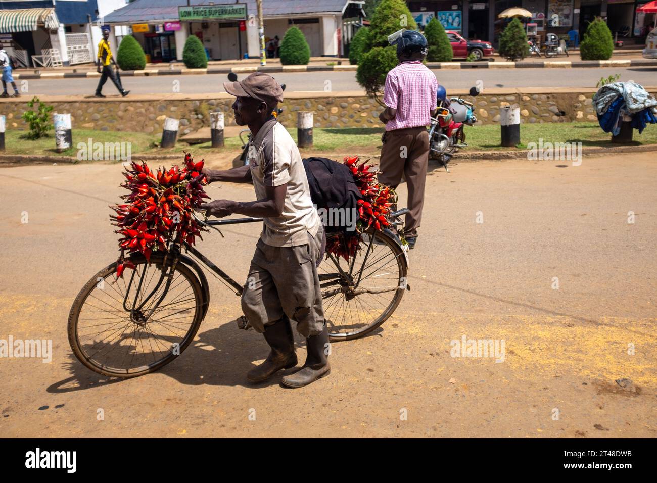 Un uomo spinge una bicicletta arrugginita carica di peperoncino rosso nel centro di Fort Portal, in Uganda Foto Stock