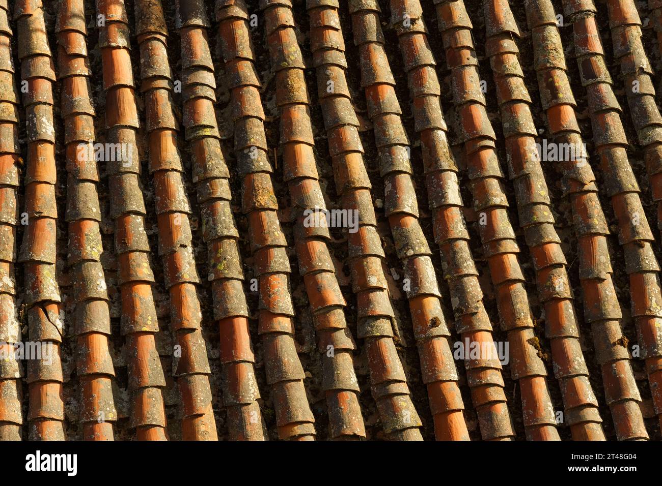 Consistenza arancione di vecchie piastrelle tubolari ricoperte di muschio sul tetto. Texture e sfondi. Foto Stock