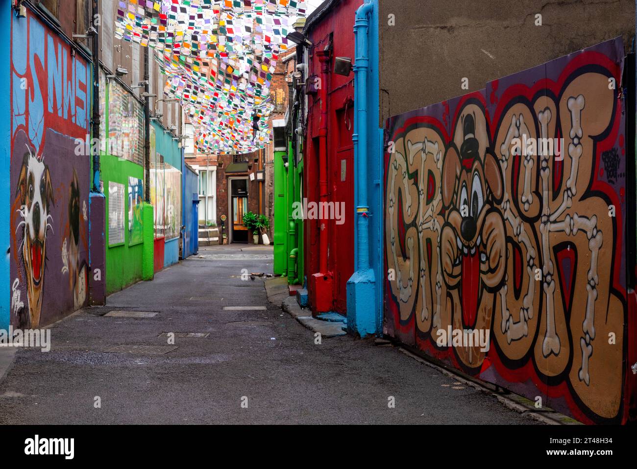 L'Icon Walk è un'installazione d'arte pubblica gratuita e all'aperto a Dublino, in Irlanda, che celebra la cultura e il patrimonio irlandese attraverso la Street art. Foto Stock