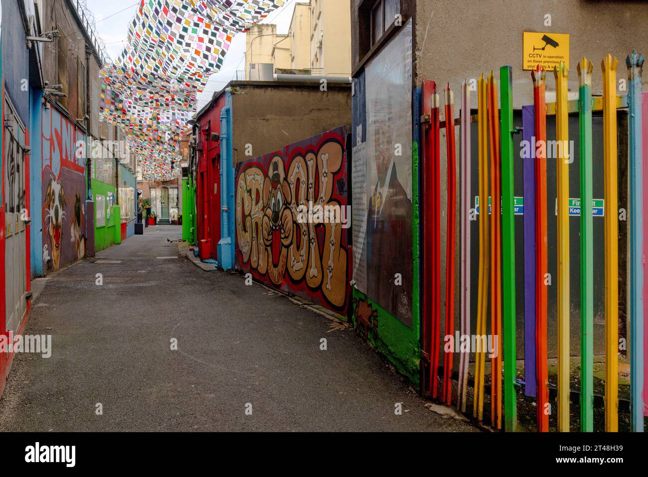 L'Icon Walk è un'installazione d'arte pubblica gratuita e all'aperto a Dublino, in Irlanda, che celebra la cultura e il patrimonio irlandese attraverso la Street art. Foto Stock