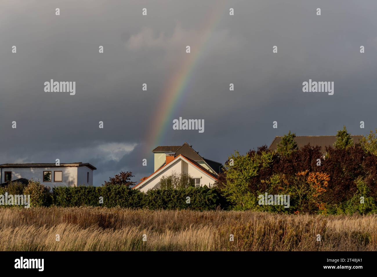 l'arcobaleno emerge dalle nuvole di tempesta scure sopra una tranquilla area residenziale, con erbe dorate e alberi autunnali in primo piano Foto Stock
