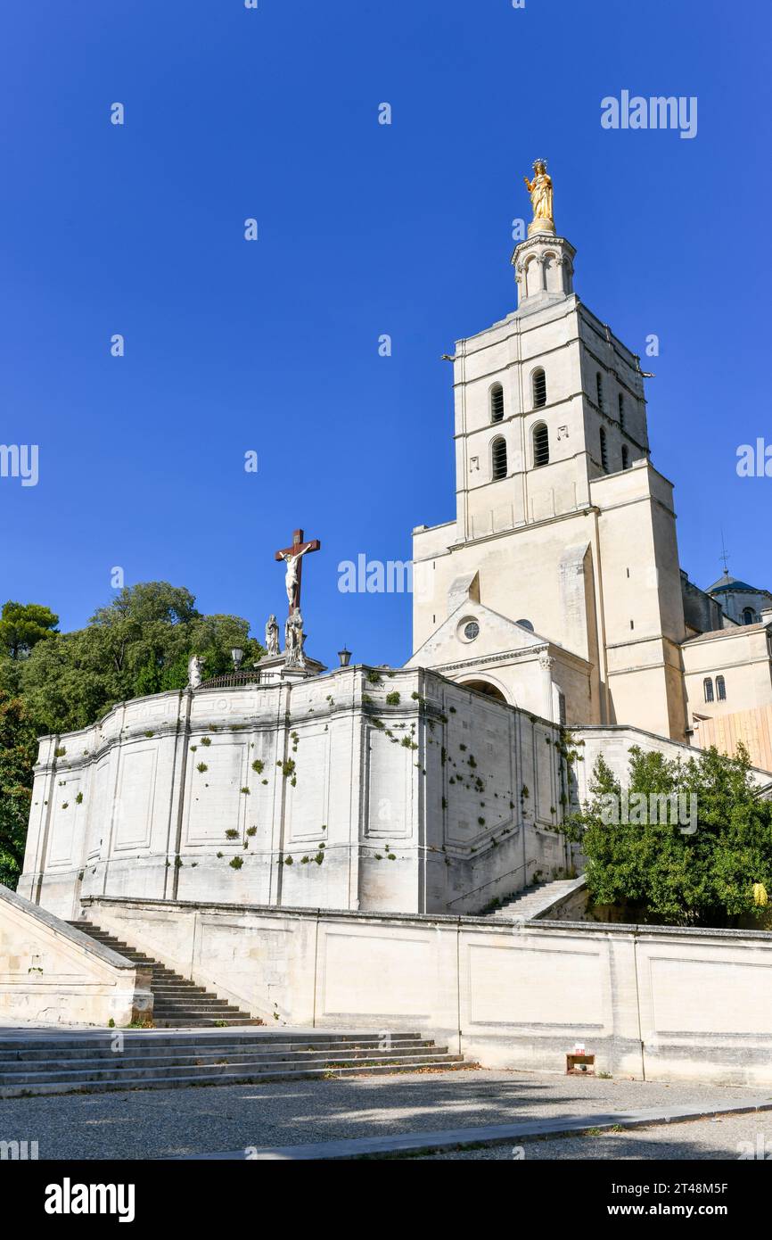 La cattedrale di Avignone è una chiesa cattolica situata vicino al Palais des Papes di Avignone, in Francia. È un monumento di Avignone, in Franc, patrimonio dell'umanità dell'UNESCO Foto Stock