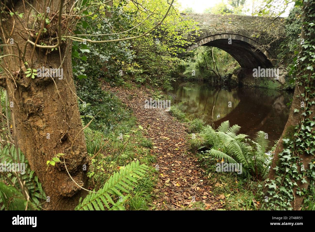 Il fiume Neb vicino al ponte Glenfaba, Peel, Isola di Man, habitat di numerose specie di pipistrelli tra cui Daubenton's, Noctule e Common Pipistrelle. Foto Stock