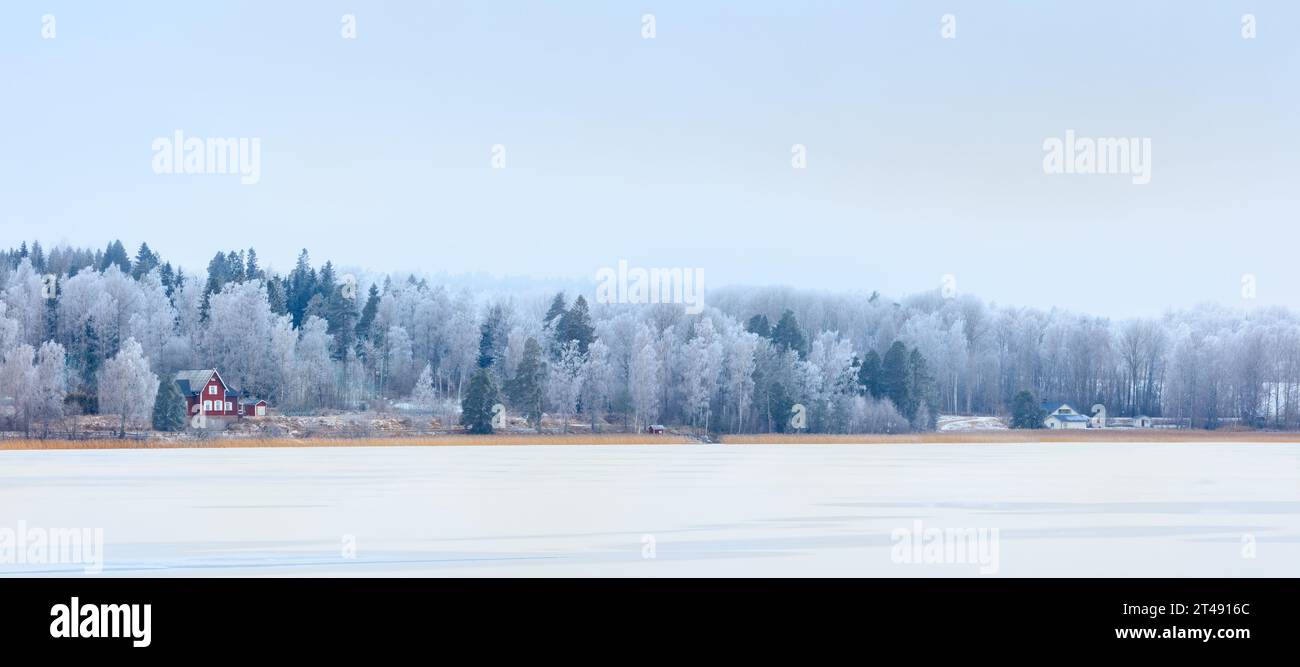 Fiaba invernale: Lago ghiacciato e boschi ghiacciati. Foto Stock