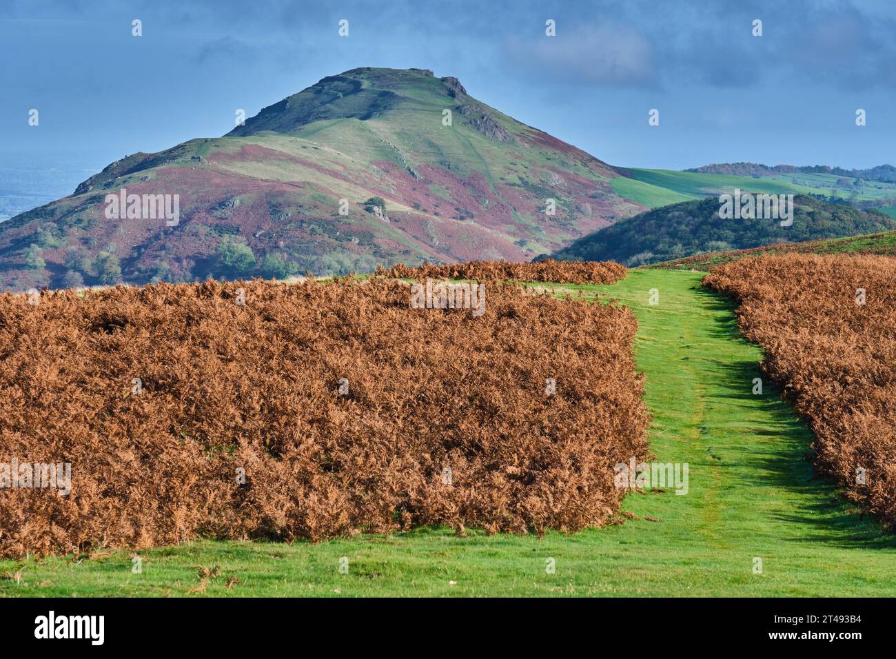 Caer Caradoc, visto da Ragleth Hill, Church Stretton, Shropshire Foto Stock