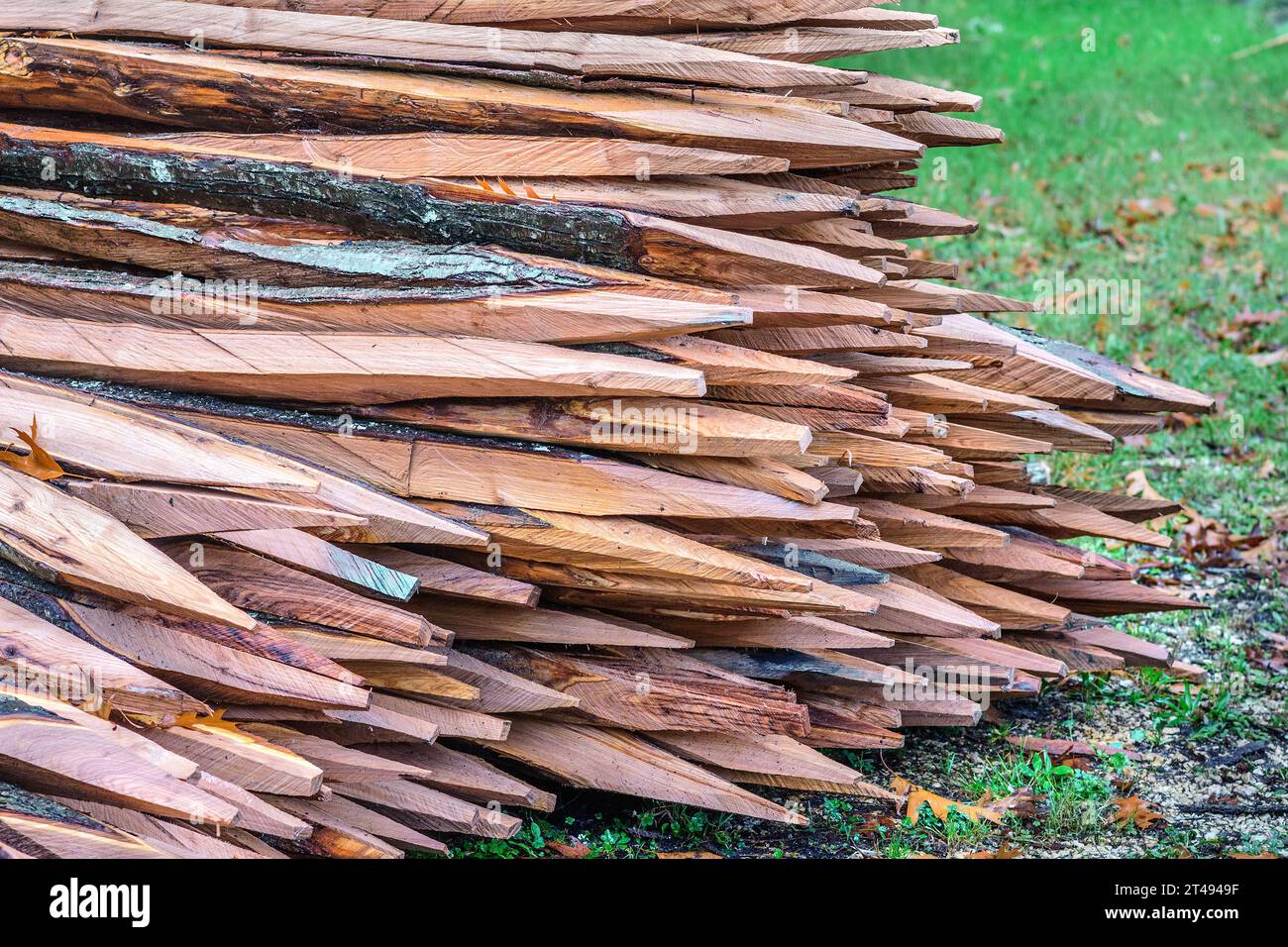 Pila di pali di recinzione in legno appena tagliati - la Ribaloche, Indre-et-Loire (37), Francia. Foto Stock