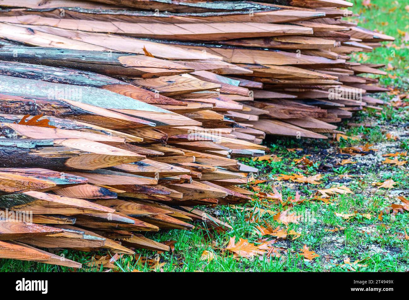 Pila di pali di recinzione in legno appena tagliati - la Ribaloche, Indre-et-Loire (37), Francia. Foto Stock