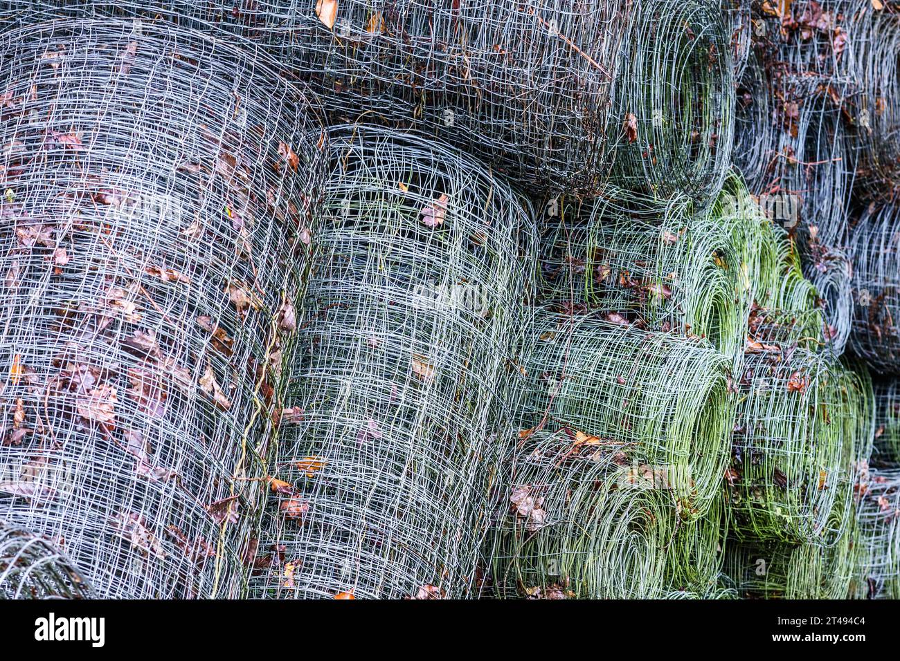 Rotoli di rete metallica utilizzati per la recinzione di controllo dei cervi - la Ribaloche, Indre-et-Loire (37), Francia. Foto Stock