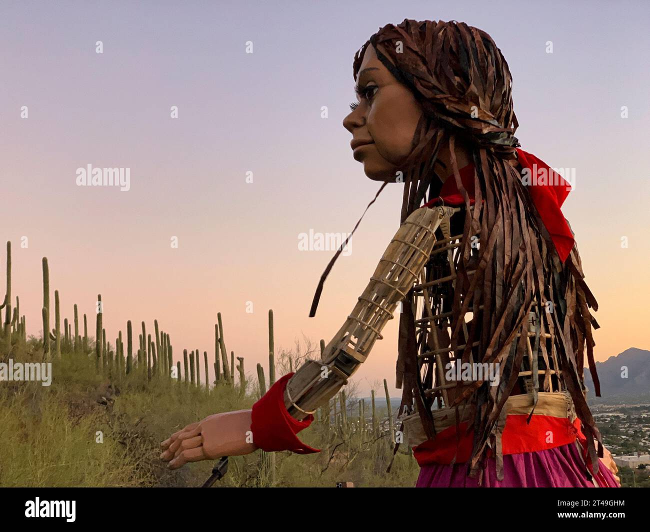 Nash Doppia Pelle Per Canna *10 Piedi O 12 Piedi Disponibili* Custodia Per Canna Da Pesca NUOVO