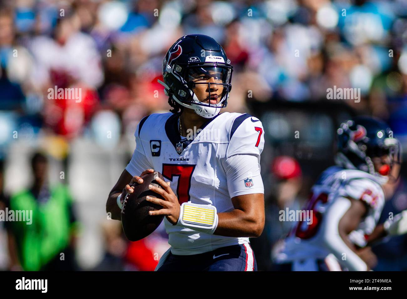 29 ottobre 2023: Il quarterback degli Houston Texans C.J. Stroud (7) con il pallone durante il primo quarto contro i Carolina Panthers nella partita NFL a Charlotte, NC. (Scott Kinser/Cal Sport Media) Foto Stock