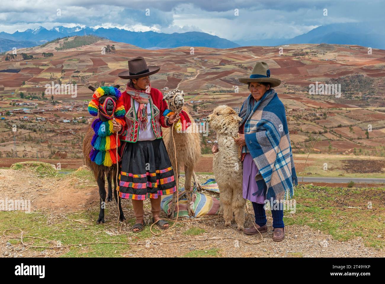 Due donne indigene peruviane quechua in abbigliamento tradizionale con due lama e un alpaca, Cusco, Perù. Foto Stock