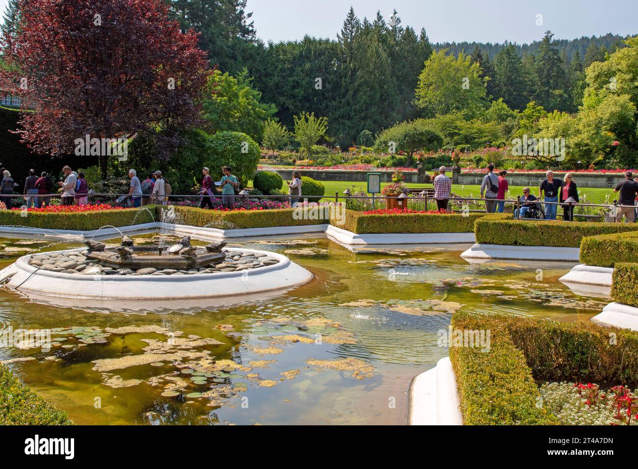 Star Pond, Butchart Gardens Foto Stock