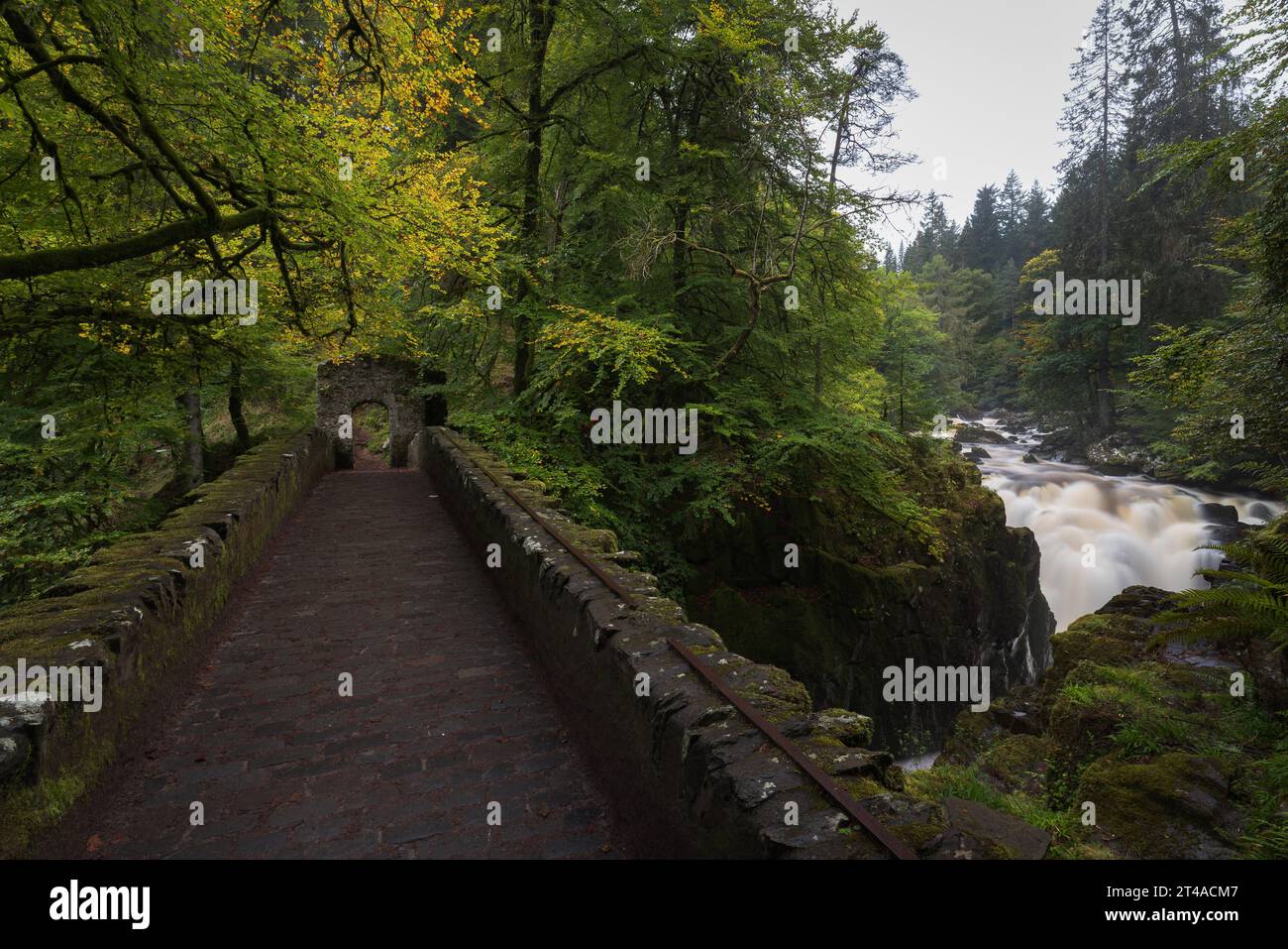 Ponte sulle Black Linn Falls, l'Hermitage, Dunkeld, Perthshire, Scozia Foto Stock