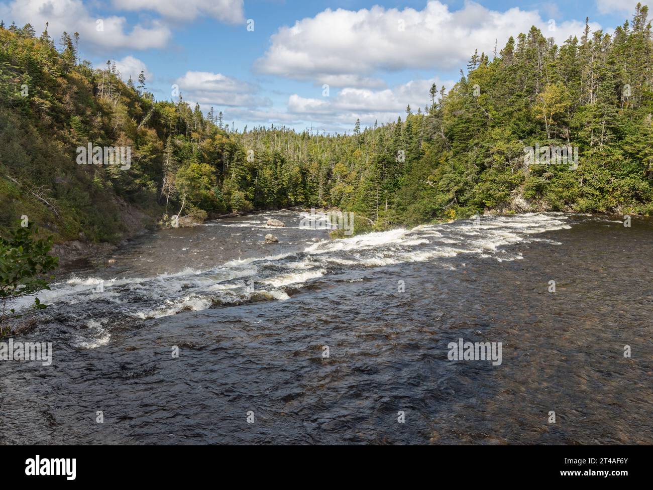 Acqua che cade sulle rocce alle Baker's brooks Falls e alla foresta sempreverde nella parte occidentale di Newfoundland Foto Stock
