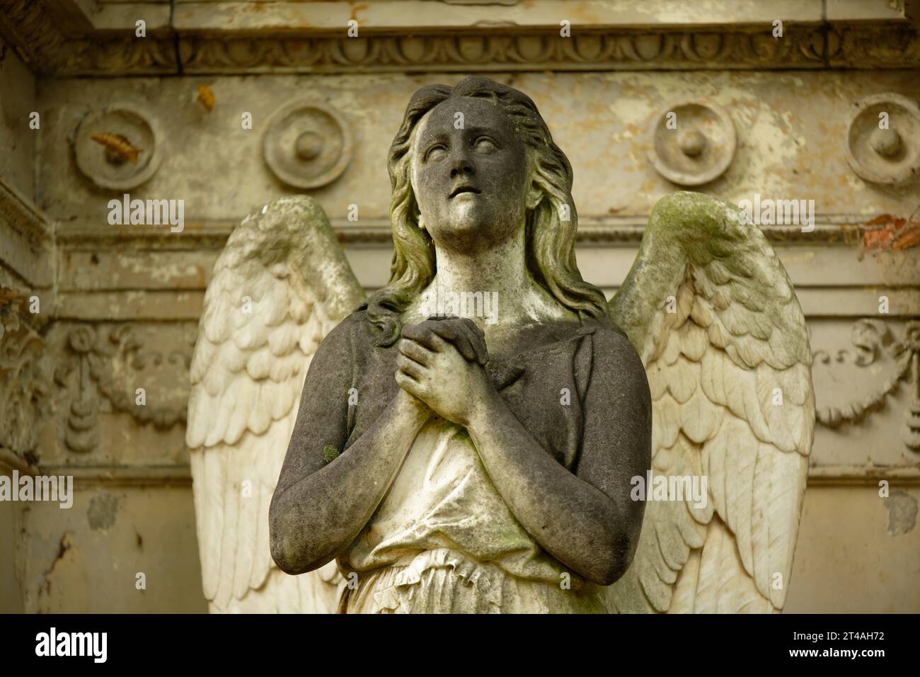 l'angelo alato con le mani ripiegate su una tomba storica guarda il cielo in attesa Foto Stock