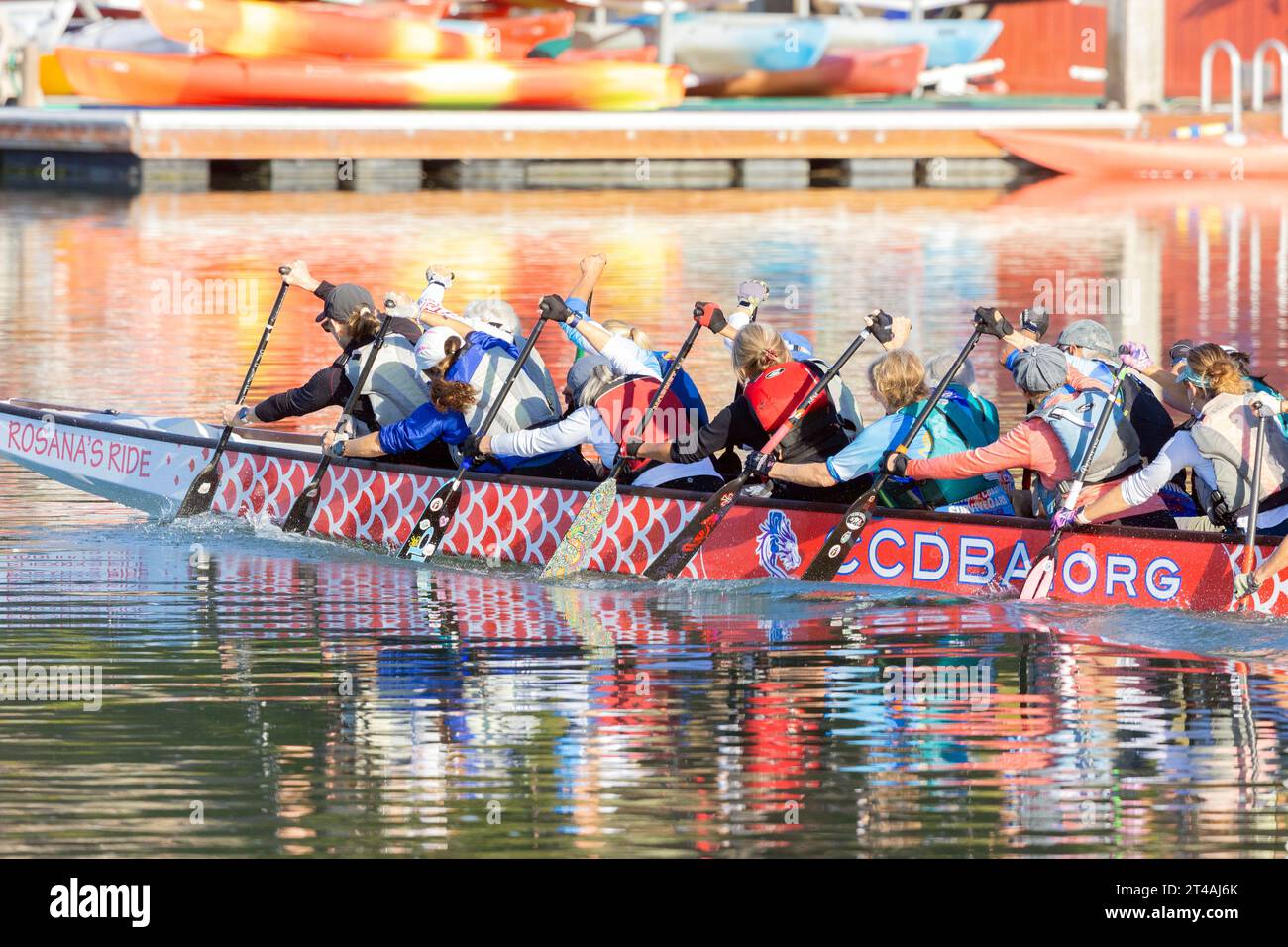 Central Coast Dragon Boat Association Foto Stock
