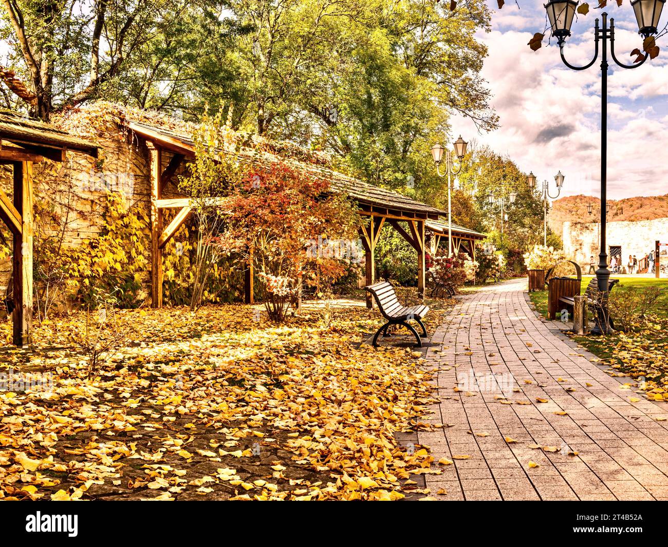 Splendido parco autunnale con panchine e foglie cadute. Tonalità colore applicata. Foto Stock