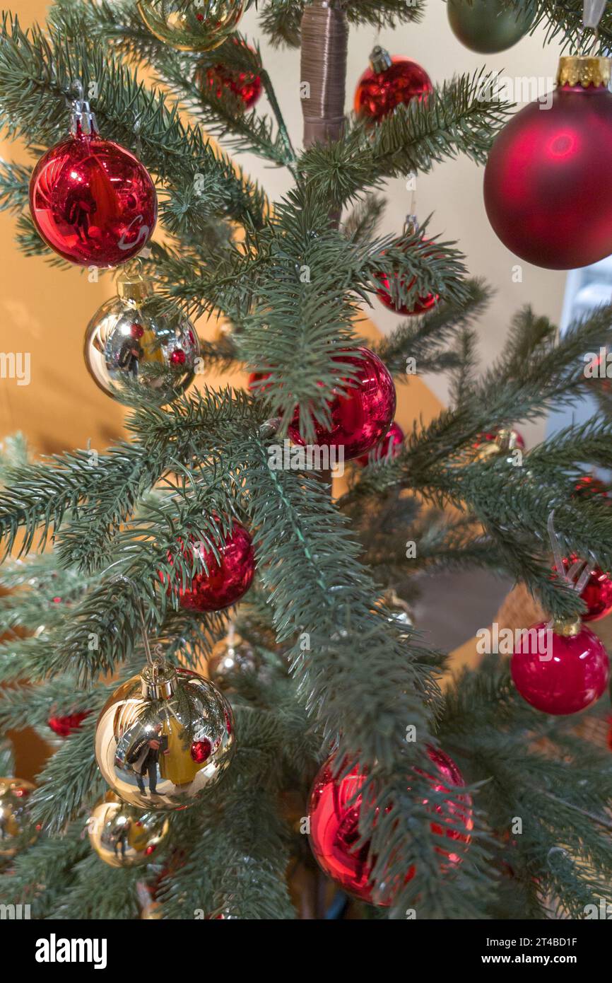 palline cromate rosse su sfondo verde ramificato dell'albero di natale Foto Stock