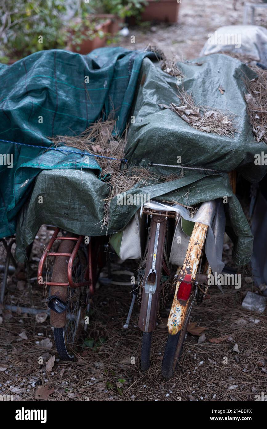 Biciclette rugginite coperte con telone in un campeggio fuori stagione, Toscana, Italia, Europa Foto Stock