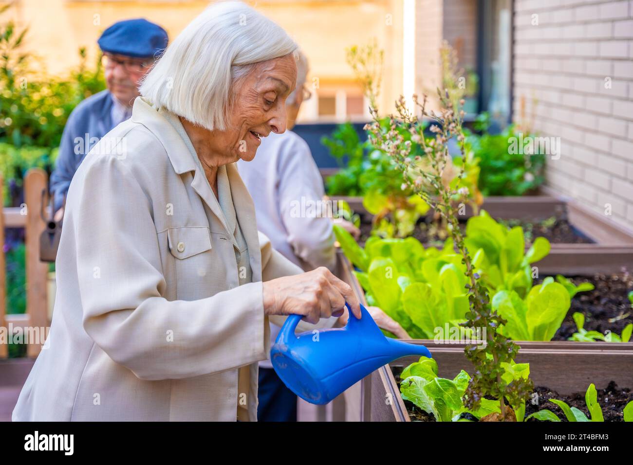 Profilo di tre anziani che annaffiano un orto urbano in un geriatrico Foto Stock