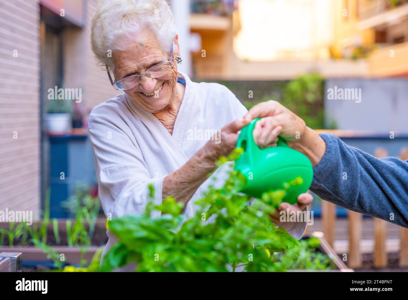 Donna anziana che annaffiano piante nel cortile di una casa di cura Foto Stock