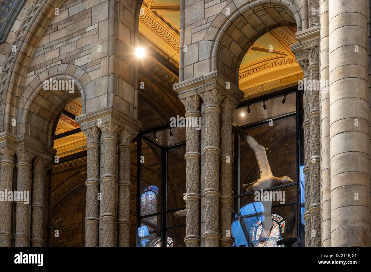Colonne ornate, sala d'ingresso, Museo di storia naturale o Museo di storia naturale, Kensington, Londra, Inghilterra, Regno Unito Foto Stock