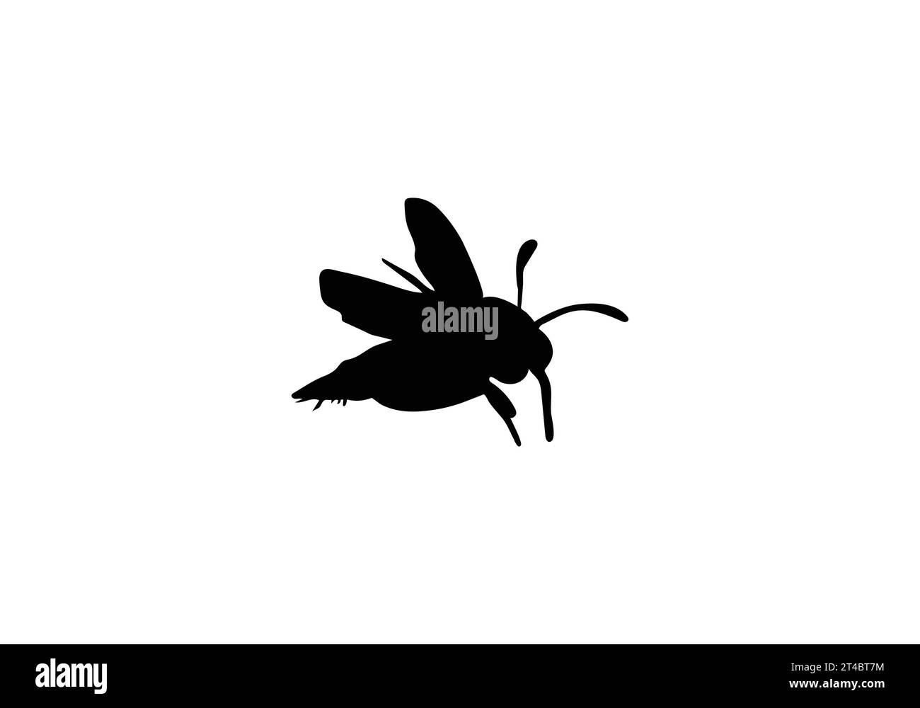 Illustrazione di Barbut S Cuckoo Bumblebee in stile minimale Illustrazione Vettoriale