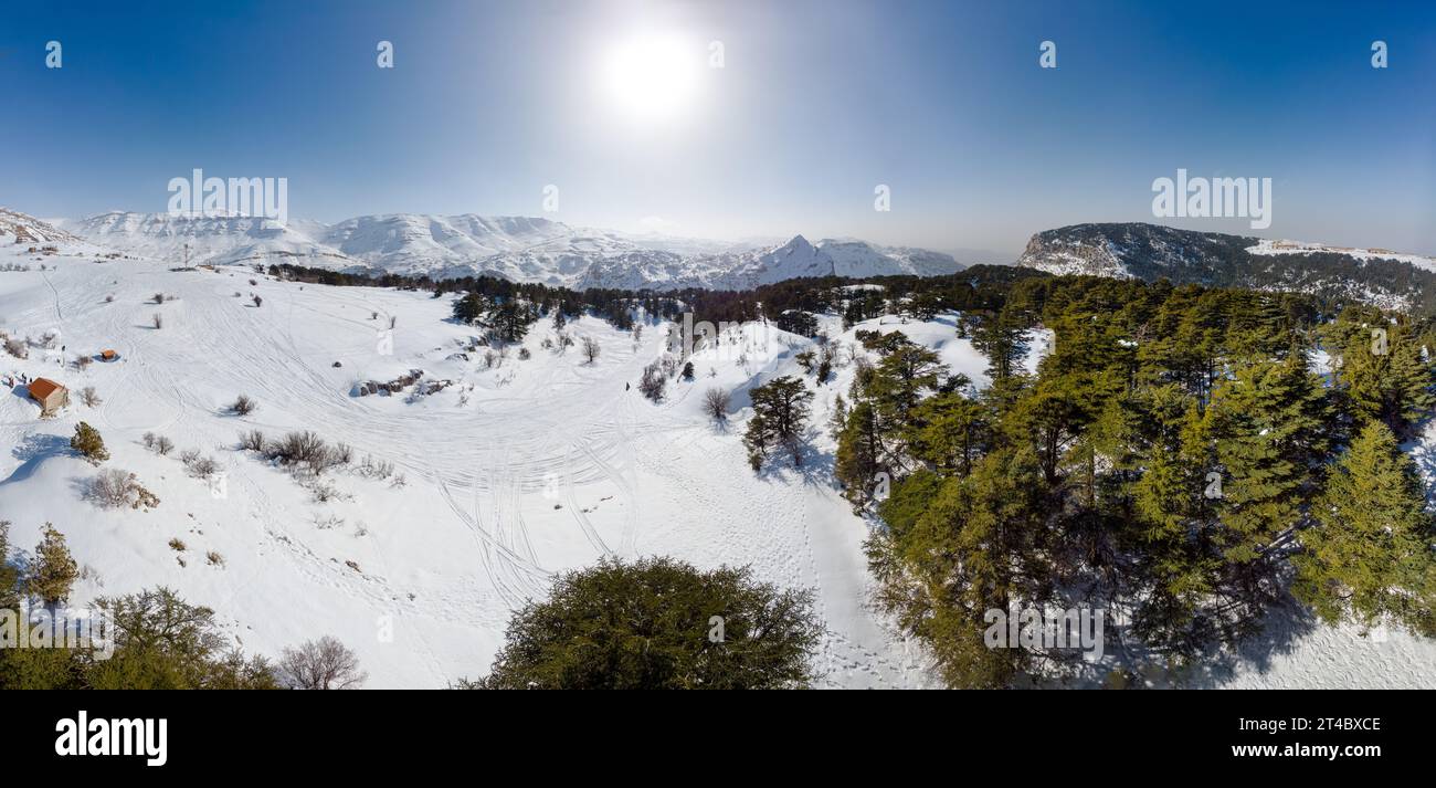 Vista droni della catena montuosa del Monte Libano, con la foresta di cedri, il paesaggio innevato in inverno, la riserva dei cedri di Tannourine, Libano, Medio Oriente Foto Stock