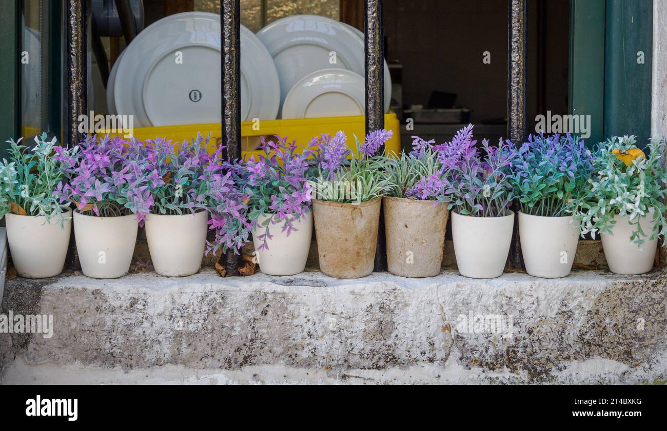 Vasi di fiori vicino alla finestra della cucina in una casa a Corfù in Grecia Foto Stock