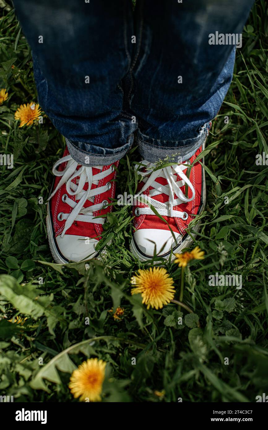 Sneakers rosse e fiori gialli su erba verde in primavera Foto Stock
