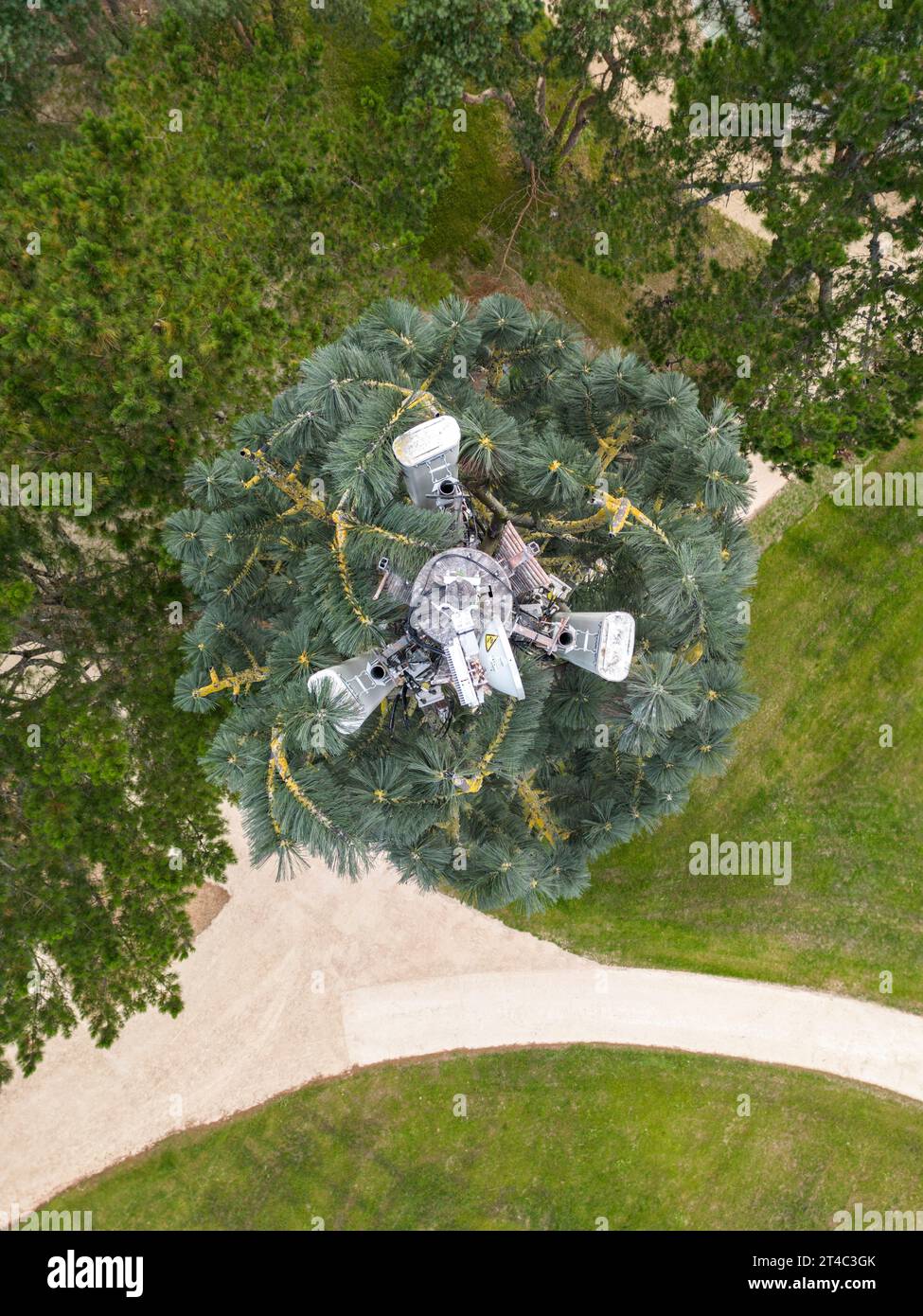 Vista aerea di un'antenna relè telefono cellulare camuffata come un falso albero (Francia). Montante del telefono cellulare mascherato da pino. Foto Stock