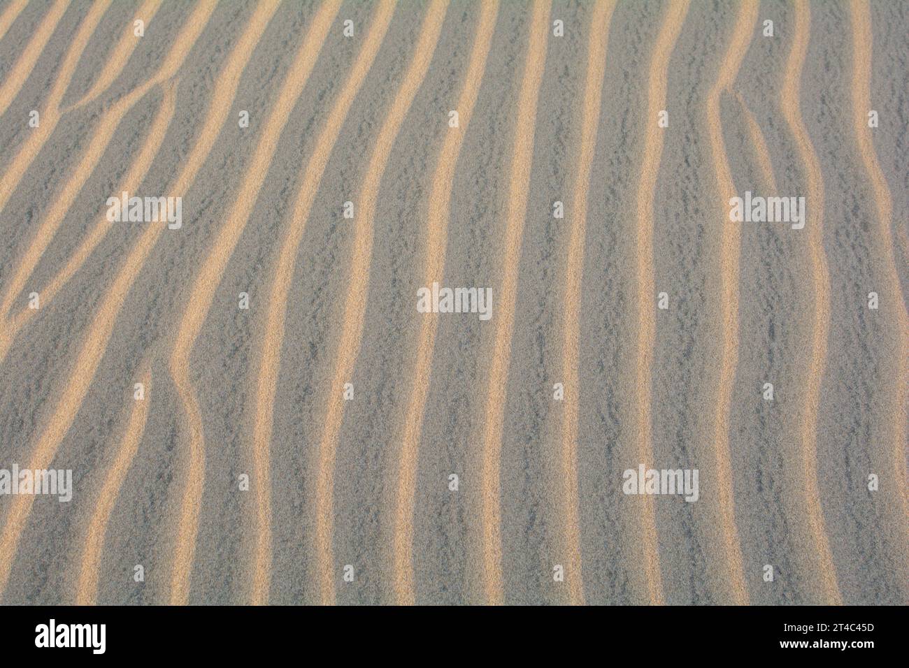 Sabbia ondulata su una duna, full frame Foto Stock