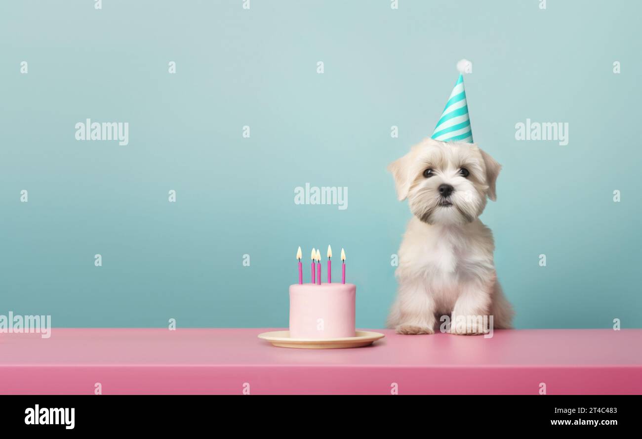 Un simpatico cucciolo che festeggia con una torta di compleanno con cinque candele di compleanno rosa, sfondo blu con spazio per le copie da un lato all'altro Foto Stock