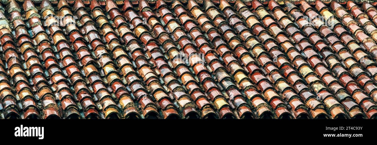 Vecchio tetto bagnato dopo la pioggia, messa a fuoco selettiva Foto Stock Vecchio tetto bagnato dopo la pioggia, messa a fuoco selettiva Foto Stock