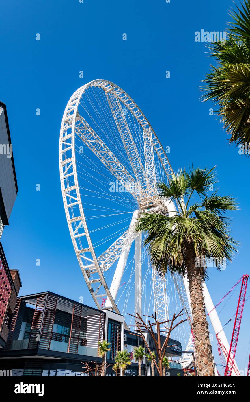 Emirati Arabi Uniti, Dubai, 8 dicembre 2018. AIN Dubai, la ruota panoramica più alta, alta 250 m. Conosciuto anche come Dubai Eye. In costruzione. Foto Stock