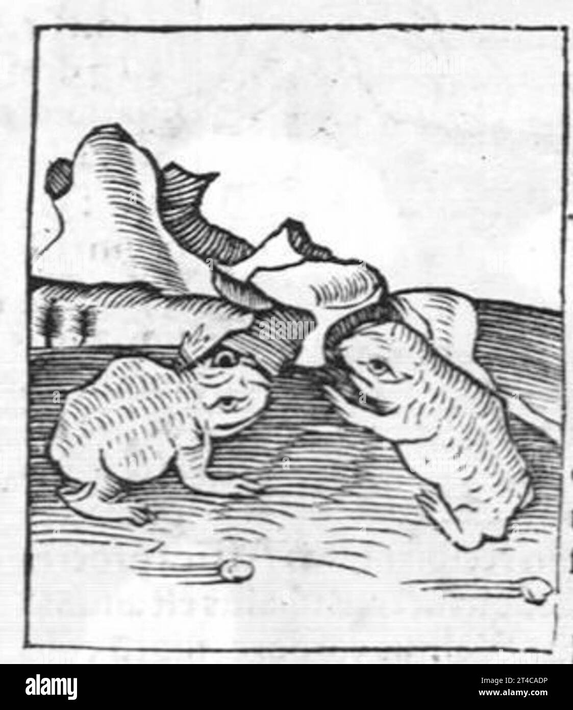 Hortus sanitatis, quatuor libris haec quae snbsequuntur complectens Foto Stock